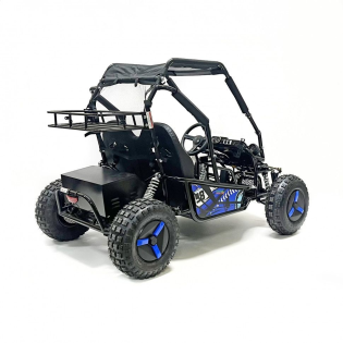 Багги GreenCamel Намиб T10 (60V 2000W R8 Дифф)