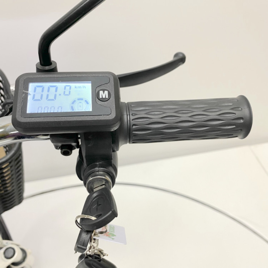 Электровелосипед GreenCamel Транк 18 V8 PRO (R18 500W 60v20Ah) 2х подвес