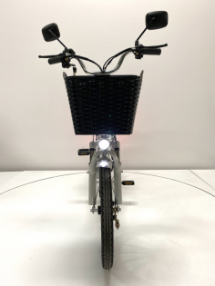 Электровелосипед GreenCamel Транк 20 V8 PRO (R20 500W 60V20Ah) 2х подвес