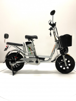 Электровелосипед GreenCamel Транк Монстр PRO (R16FAT 800W 48V15Ah)