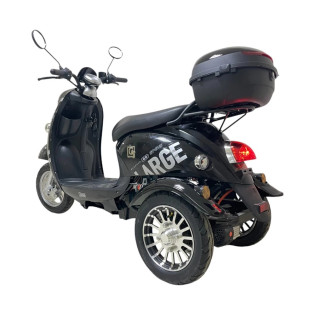 Электротрицикл CityCoco TRIKE GT-EV5 